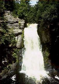 The Falls